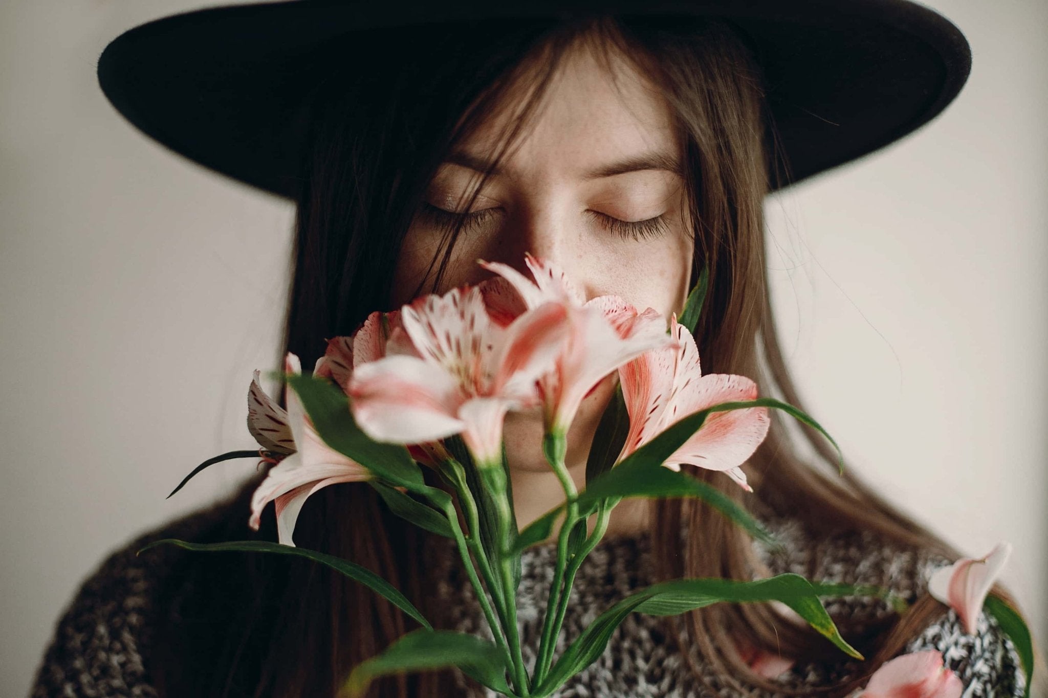 5 air purifying houseplants for fresh air - CYCLE Eco Cleaners