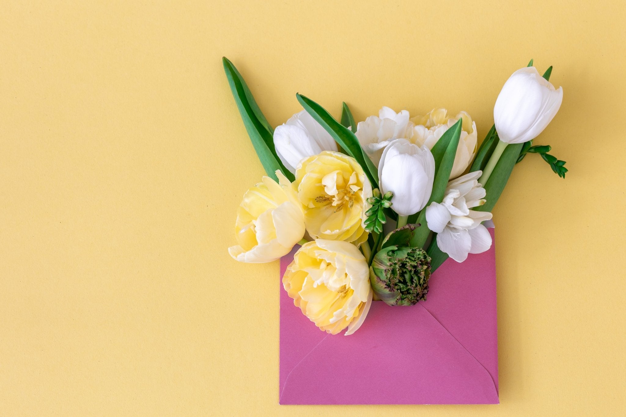 9 tips for the best eco-friendly gift ideas - CYCLE Eco Cleaning Products
