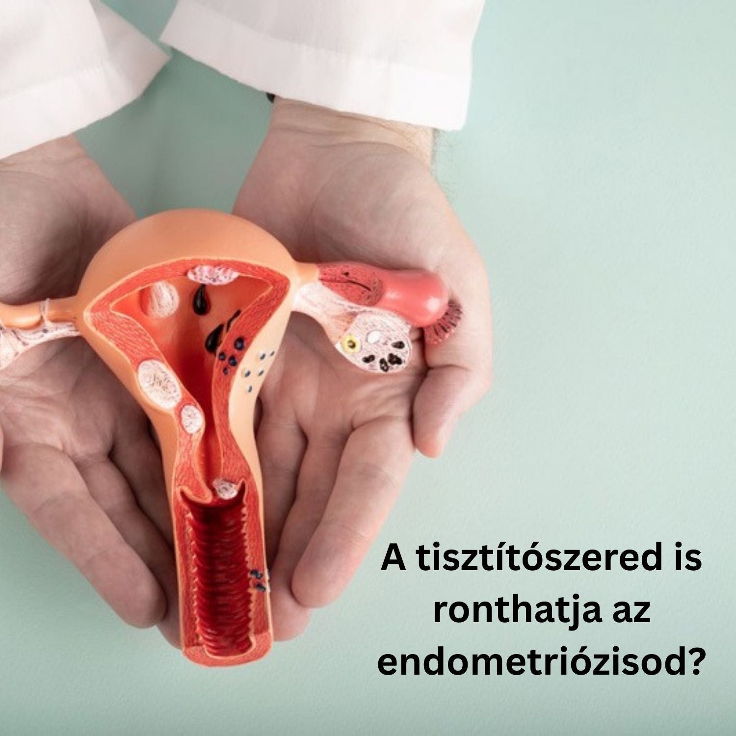 "Can your cleaning products make your endometriosis worse?" - Shocking research on chemicals and women's health