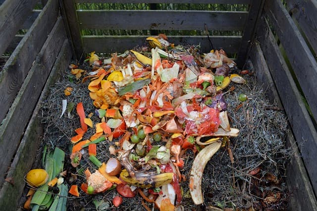 How to compost at home - CYCLE Eco Cleaning Products