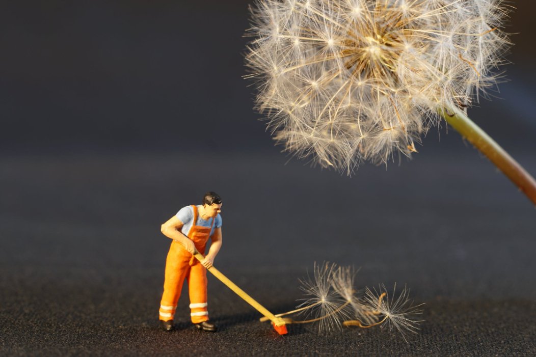 How to effectively clean and disinfect your home - CYCLE Eco Cleaners