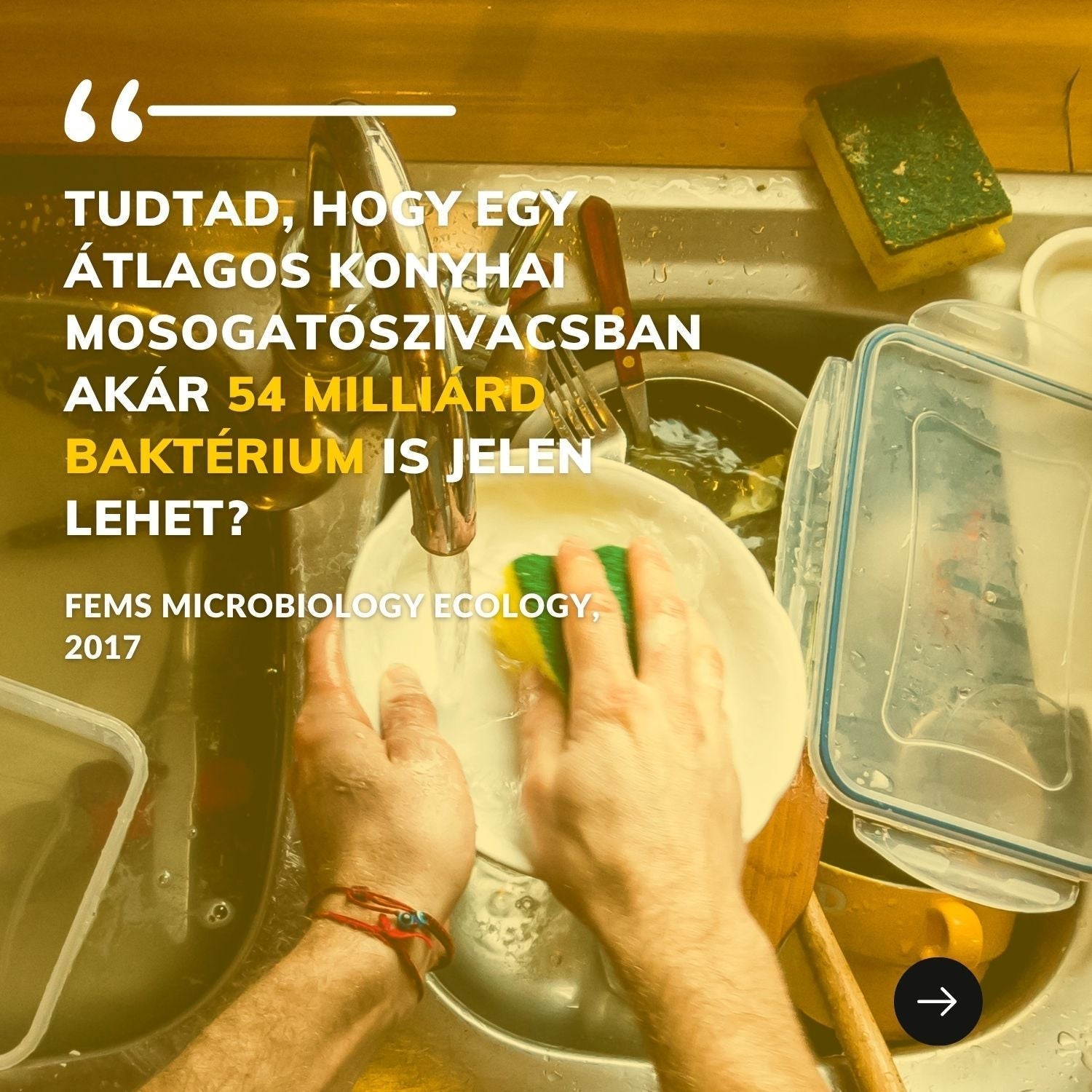 Miért érdemes lecserélned a műanyag mosogatószivacsot természetes alternatívára? — A valós okok, kutatással alátámasztva - CYCLE Öko tisztítószerek