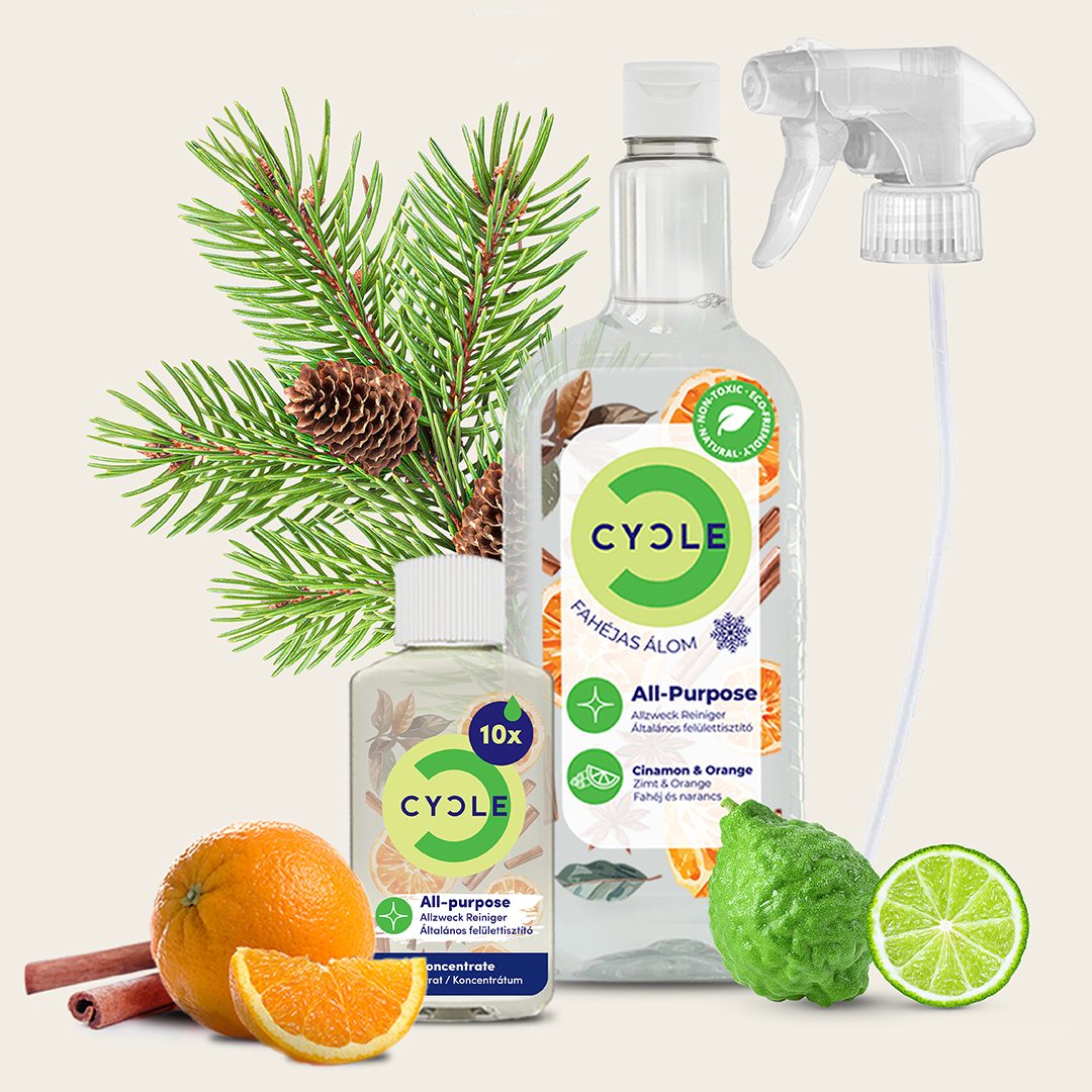 NEW! Christmas General Surface Cleaning Set – Orange, Cinnamon and Bergamot Scent