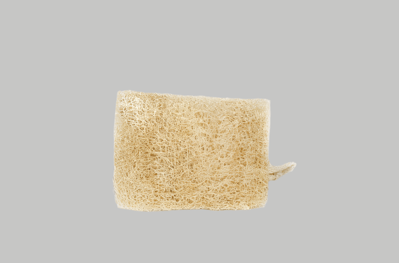 Luffa Sponge - CYCLE | Cleaners made Clean