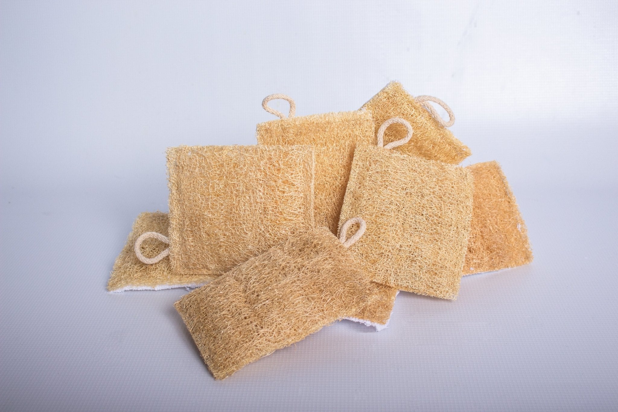 VARROTT LUFFA SPONGE - CYCLE | Cleaners made Clean