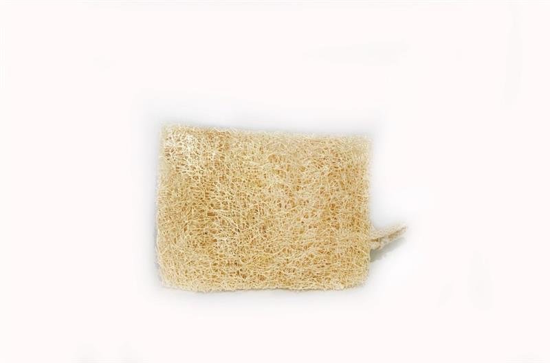 VARROTT LUFFA SPONGE - CYCLE | Cleaners made Clean